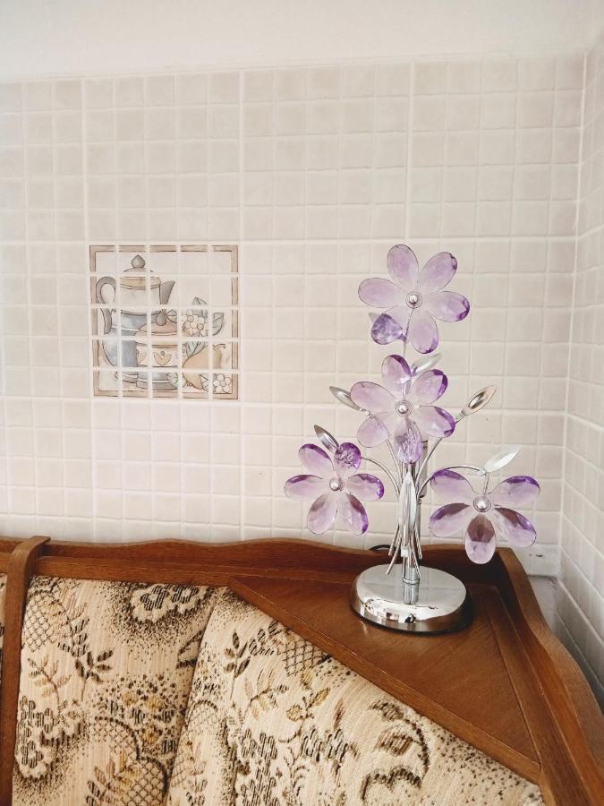 Apartmani Nikolina Ražanac Buitenkant foto